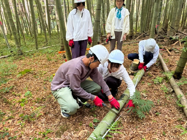 画像です