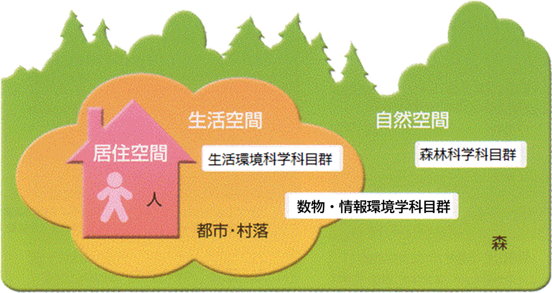 環境科学専攻の科目群の図