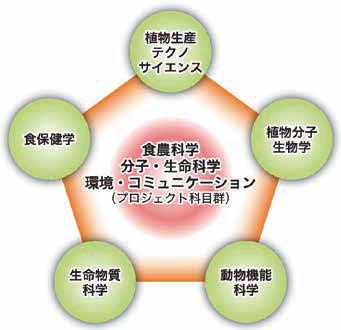 応用生命科学専攻の科目群の図