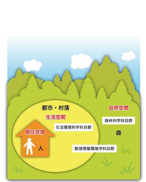 環境科学専攻の科目群の図