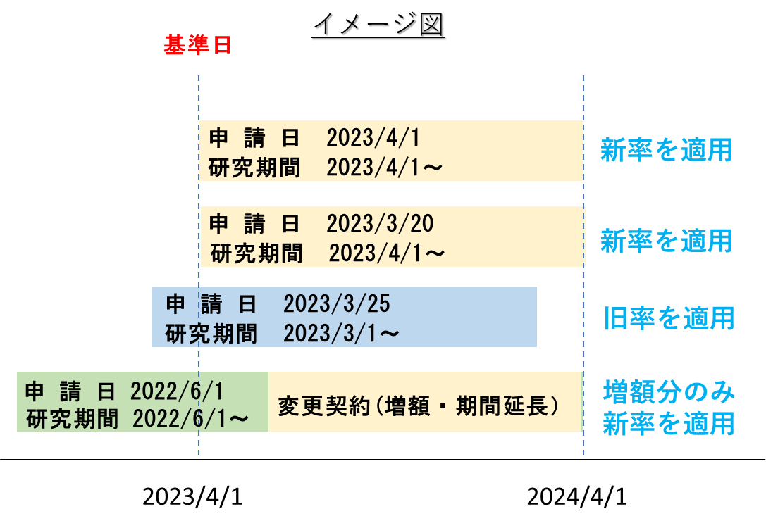 新ルール適用タイミング