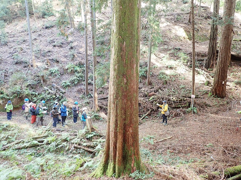 「木の生きざま・森のなりたち」隅田教授による講義の様子