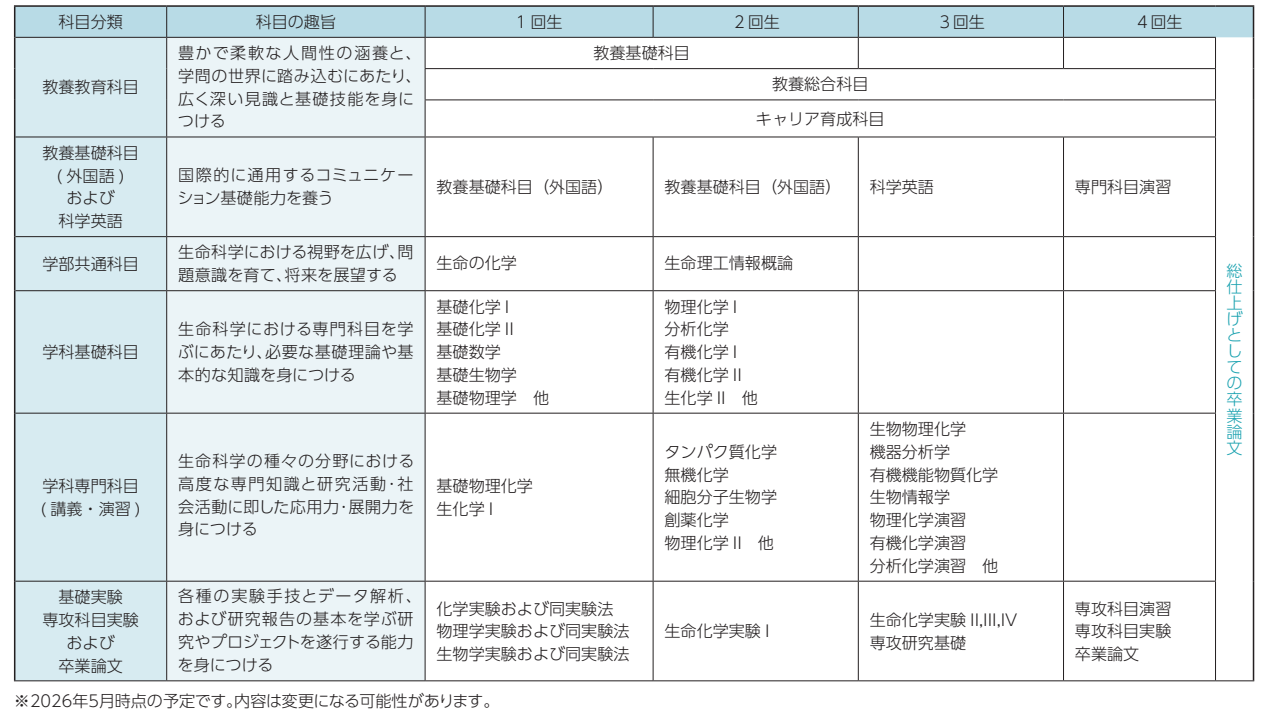 4年間の学習の流れ